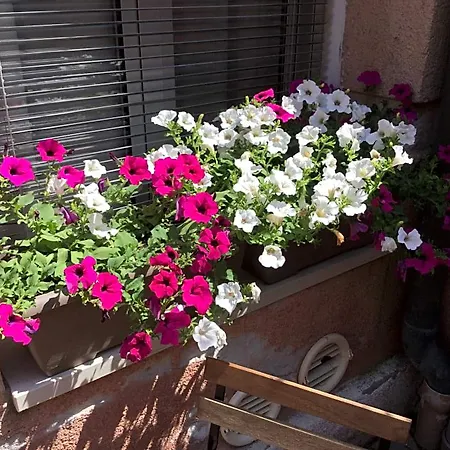 Hotel Cannaregio Ii Venetië